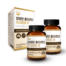 웰리즈 양태반 플라센타 프리미엄정 500mg X 60정, 2개(4개월분) 120정