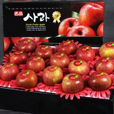과일선물세트 안동사과+안성배+제주한라봉 당도보장, 안동사과선물세트5kg(15~16과)