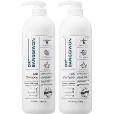 닥터방기원 랩 탈모 증상 완화 샴푸, 1L, 2개