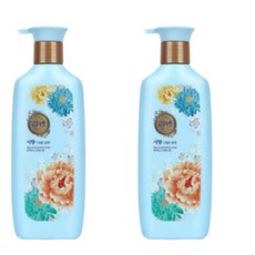 [LG생활건강] 리엔 서향 샴푸 950ml x 2개, 1세트