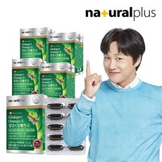 내츄럴플러스 [내츄럴플러스] 징코 오메가3(1 240mgx60캡슐) 5박스/10개월분, 5개