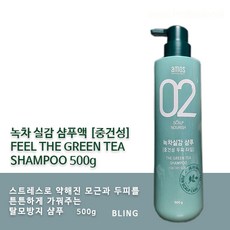 아모스 녹차실감 중건성 샴푸액 500g 2개세트, 1