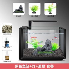 관상어 가정용 어항 수족관 수조 생물 해수 조경 니모 물고기 구피 키우기 핑크벨리사이드넥 2자광폭 4자 버들붕어 30큐브 백운산 해수어 3자, G