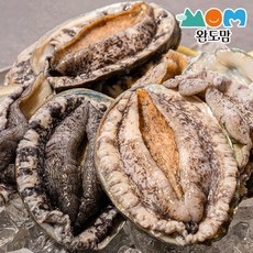 완도맘 생산자직송 활 전복 1kg, 1box, 1kg(12-14미)