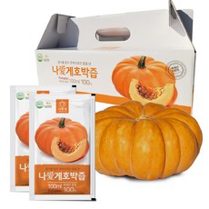 나애게 무안 늙은 호박즙 100ml, 120팩