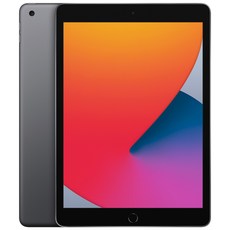 Apple iPad 8세대, 스페이스 그레이, 128GB, Wi-Fi