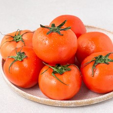 곰곰 달콤아삭한 스테비아 완숙 토마토, 1팩, 1.5kg