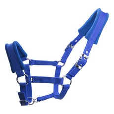 QDY 조랑말 말 고삐 머리 칼라 승마 안정적인 보호, 블루 L