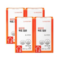 닥터루템 헤모어 락토 철분 빈혈 비헴철 철분제, 60정(8개월), 4박스