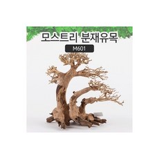 유피코리아 모스트리 수조 장식용 분재 유목 M M601, 1개