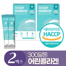 저분자 어린콜라겐 식약청인증 피쉬 콜라겐 300달톤 분말 엘라스틴 히알루론산 비오틴, 45g, 2개