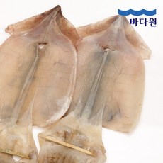 바다원(주) 바다원 국내산 부드러운 건오징어 5미, 단일옵션
