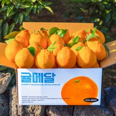 [당도선별] 제주 한라봉, 소과 5kg