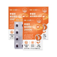 내츄럴플러스 루테인 비타민D 2000IU 7.8g, 60정, 3개