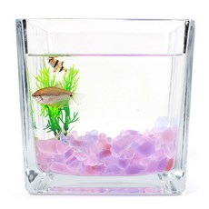 핑크 퍼플 컬러 돌 유리 자갈 250g 어항 꾸미기 구피 열대어키우기 금붕어키우기 30큐브, whitesell 믹스퍼플돌