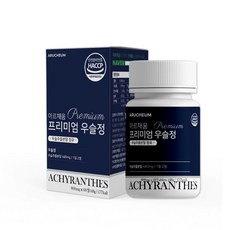 아르채움 프리미엄 우슬정 48g, 60정, 1개