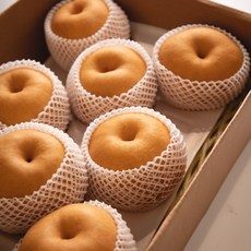 과일꾼 산지직송 나주배 ( 가정용 / 과일선물세트), 가정용 5kg 9과내, 1box