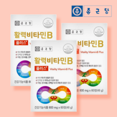 종근당 활력 비타민B 플러스 고함량 고농축 수용성 비타민비 컴플렉스 B1 B2 B6 B12 온가족 패밀리 영양제 알약케이스 포함, 60정 x 3 (6개월)
