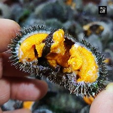 참다른 자연산 말똥 성게알 200g, 단품