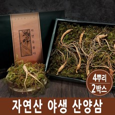 산양삼 자연산 산삼 6년근 장뇌삼 산양삼 야생산삼 뿌리 잎 장내삼 사포닌 진세노사이드 선물세트 강원도 횡성, 2set