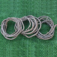 모스트리 1pcs 진정한 등나무 인공 식물 나무 잎 벽 비 가짜 식물 홈 장식 홈 장식 액세서리 저렴한 가격 판매, 유백색