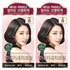 려 우아채 멋내기 새치크림 염색약 120g 1+1 흰머리염색 부분염색 뿌리염색, 3N 흑갈색, 2개