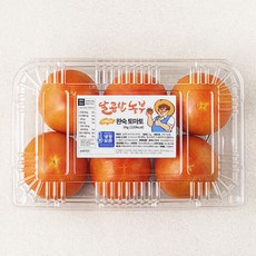 달콤한농부 스테비아 완숙토마토, 1kg, 1개