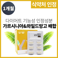 식약처인정 다이어트 보조제 없었던일로 약 4주분 살 체지방 빼는 컷팅제 가르니시아 와일드망고 씨앗 추출물 남성 남자 다이어트 고함량 가르시니아 복부지방 체지방 분해 감소 도움