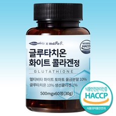 웰핏 먹는 화이트 콜라겐 글루타치온정 500mg, 1박스(2개월분)