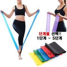 PKFARM 초급자-고급형 선택가능!! 라텍스밴드 탄성 고무밴드 헬스 운동 기초 요가 필라테스, LV5(레드)