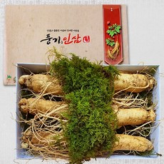 [풍기인삼] 6년근 풍기수삼(왕대) 750g(5~6뿌리), 단품, 원수삼(왕대) 750g(5~6뿌리)