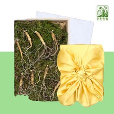 산양산삼 장뇌산삼 9뿌리 산양삼장뇌삼 장래삼 산양산삼주 가격 산삼주 50대 남자 엄마 사위 생일 팔순 시댁 80대 할머니 선물 부모님 환갑 60대 어르신 선물 장모님 아버지 생신