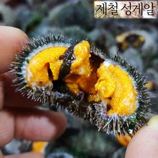 국내산 손질 말똥성게알 200g 세척 성게알 우니 손질전 1kg, 200g(손질 전 1kg)
