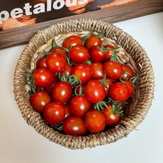 스테비아 토마토 방울토마토 토망고 500g 1kg, 01. 스테비아 방울토마토 500g