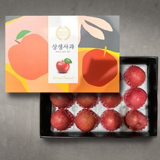[미식한가] 명품 사과 선물세트 5kg (부사 시나노), 명품 사과 선물세트 5kg(12과)