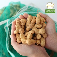 [태안직송] 고소 담백한 안면도 피땅콩 500g, 단품