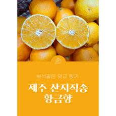 제주 산지직송 황금향 5KG 가정용 연말선물 명절선물