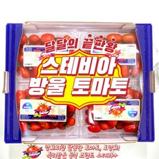 [토망고] 고당도 스테비아 방울 토망고 500g x 2팩 500g x 4팩
