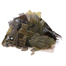 백송식품 완도산 대용량 파지다시마, 1kg, 1개