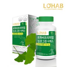 LOHAB 프리미엄 징코그린 이엑스 72g, 120정, 1개