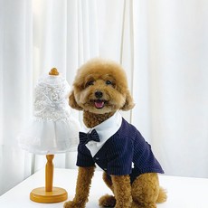 펫라이엇 강아지옷재고정리 고양이 가을 겨울 턱시도 정장 외출복, 턱시도_네이비