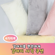 리토가토 보들리 강아지 앞가방 슬링백 (5color) 강아지포대기 - 동물학교, [사각쿠션] 아이보리