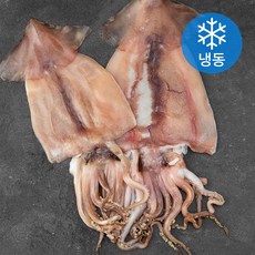 아라보감 원양산 개별포장 꾸덕꾸덕 반건조 오징어 2미 (냉동), 500g, 1개