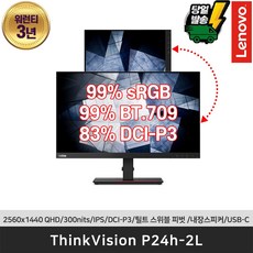[레노버]ThinkVision P24h-2L 24인치IPS/QHD/99%sRGB/맥북M1/C타입/초슬림베젤/내장스피커/틸트 스위블 피벗, 블랙