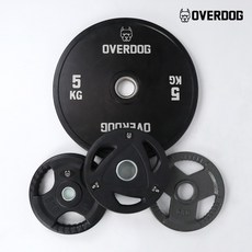 오버독 2.5kg~20kg 고무원판 주물원판 중량원판 범퍼플레이트 원판 모음, 경량원판(경량봉용 원판), 15.경량주물원판 20kg x 2장
