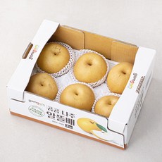 곰곰 나주 알뜰배(5~6입), 3kg, 1박스