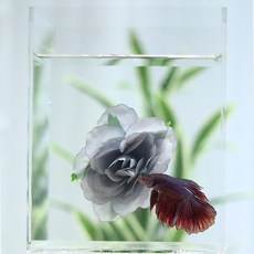 베타 실크 플라워베드 꽃침대 로즈 마나트, 단품