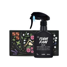 러쉬 플럼 레인 보디 스프레이 + 전용박스, 200ml, 1개