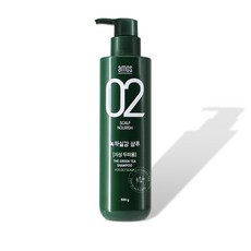아모스 녹차실감 지성두피 프레쉬 샴푸, 500g, 2개