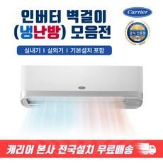 캐리어 냉난방기 인버터 절전형 벽걸이에어컨 가정용 업소용 사무실 냉온풍기 / 기본설치비 포함, [선택07] 9평형 1등급 냉.난방 인버터 벽걸이, 기본설치포함